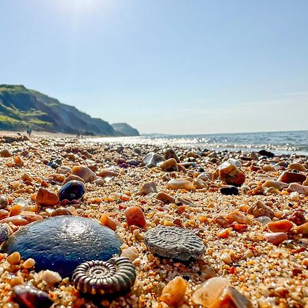 Charmouth Lodge Bridport Dış mekan fotoğraf