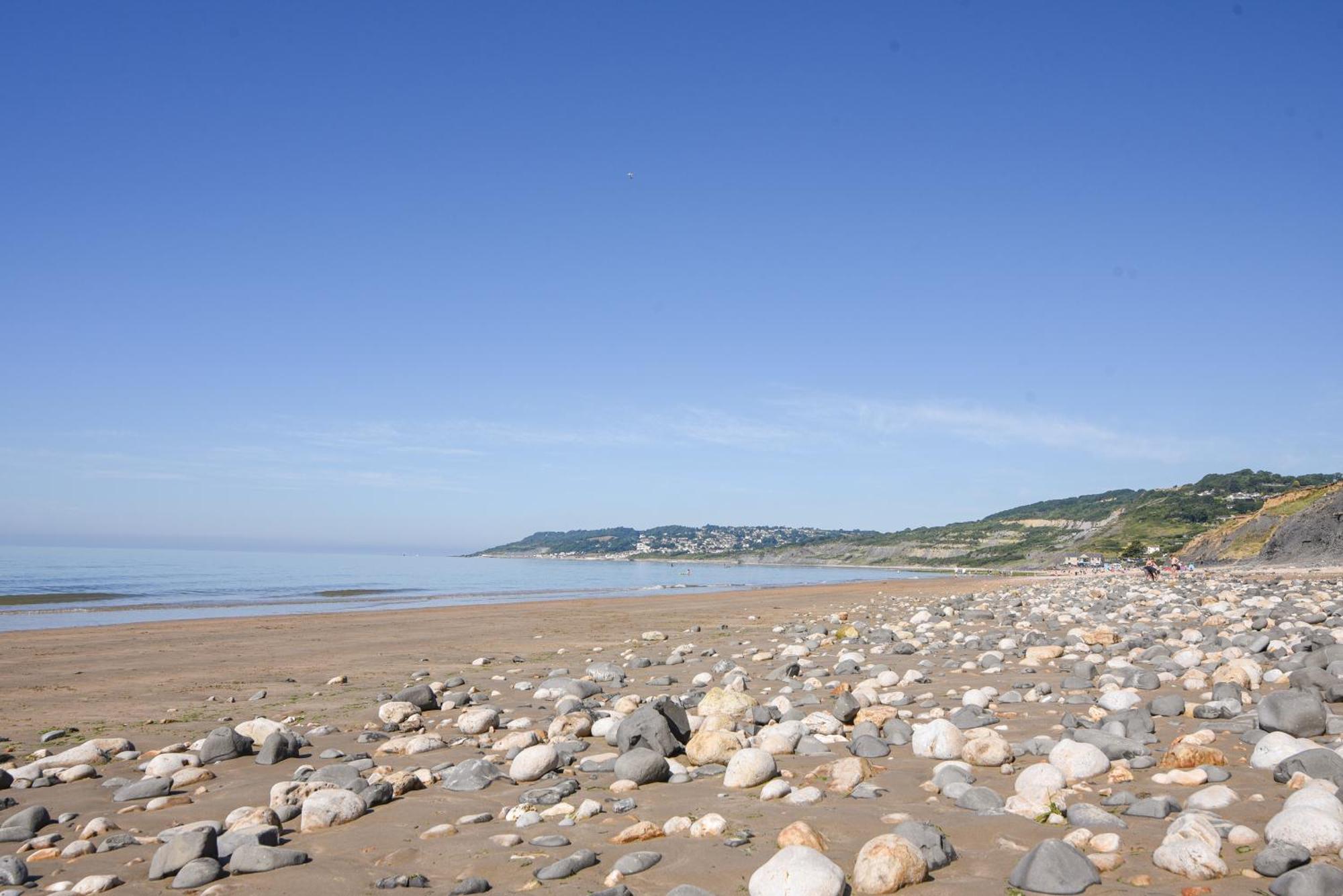 Charmouth Lodge Bridport Dış mekan fotoğraf