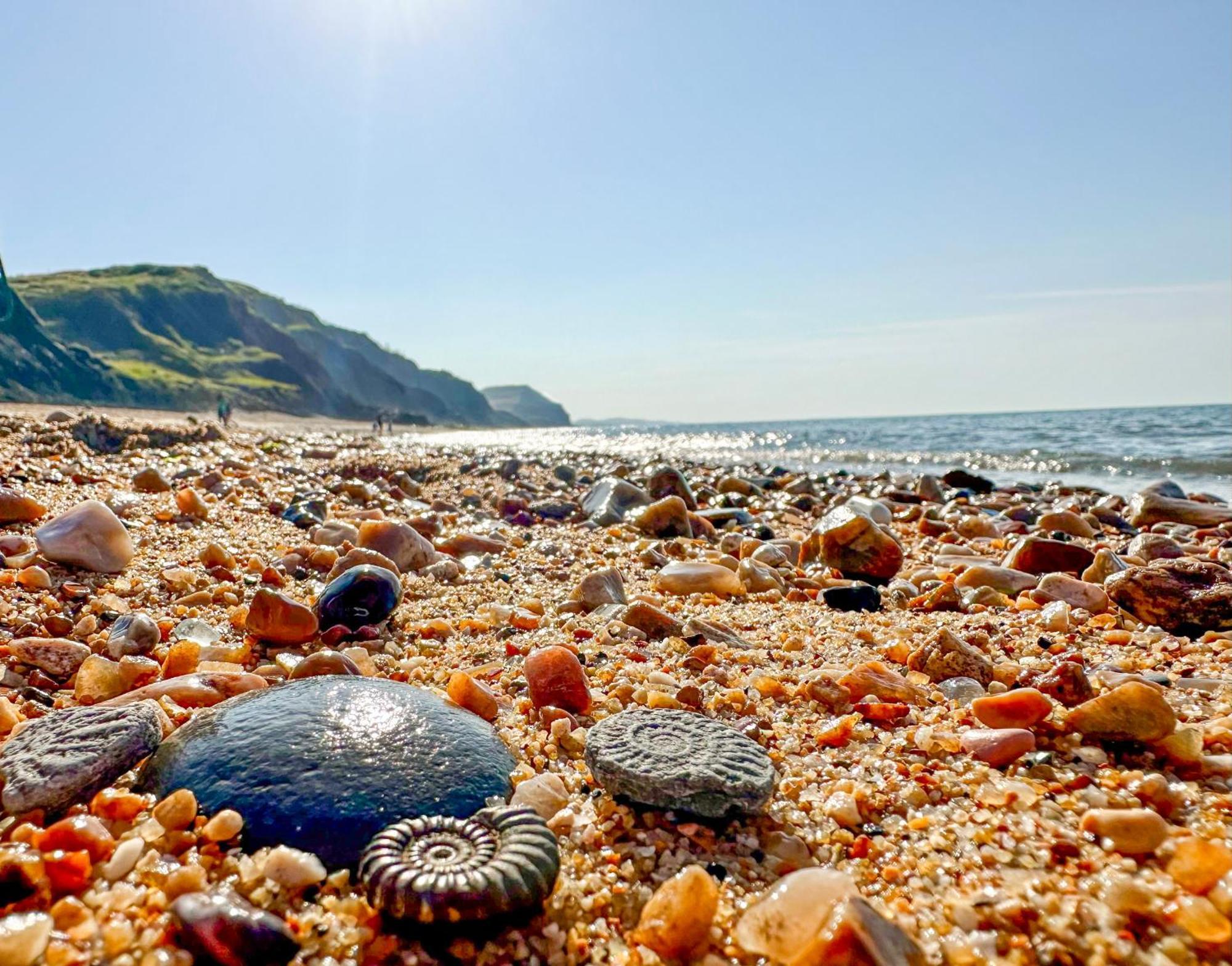 Charmouth Lodge Bridport Dış mekan fotoğraf